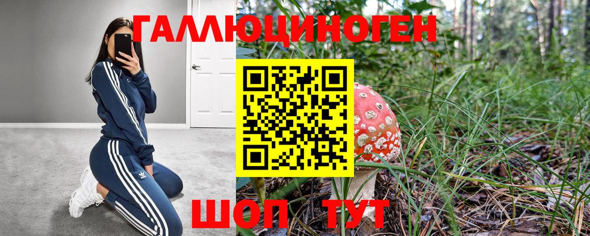 Галлюциногенные грибы мухоморы  Вход с VPN  купить закладку  Реутов 