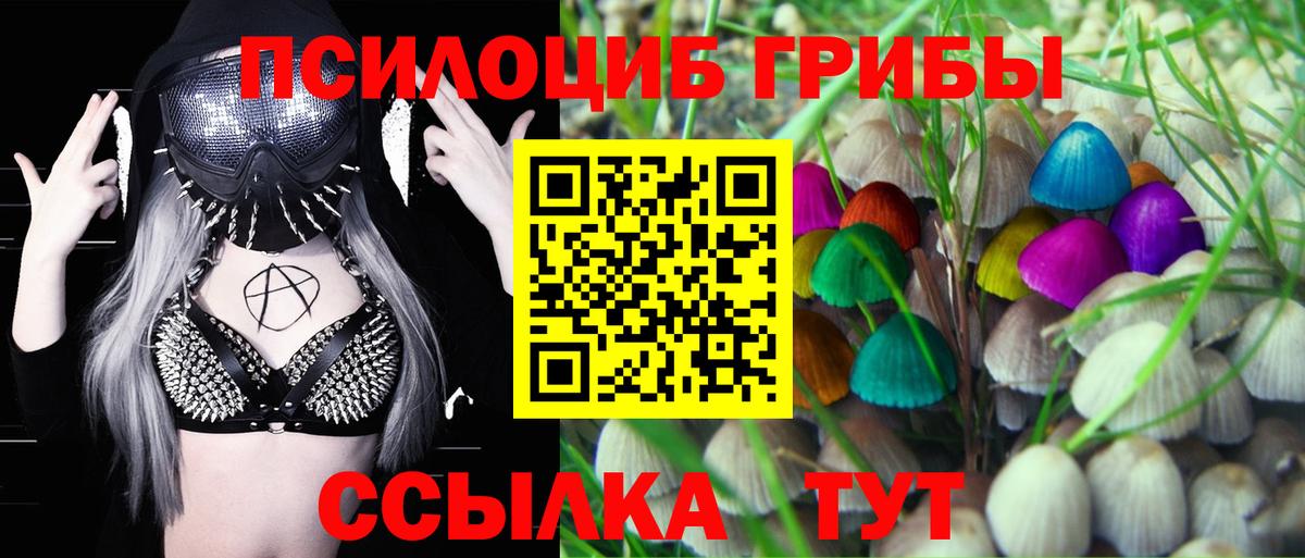 Галлюциногенные грибы мицелий Реутов